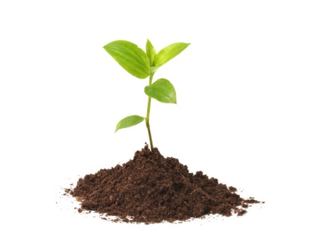 Grow Image